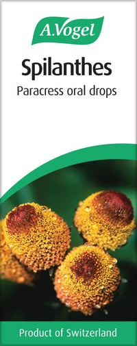 A.Vogel Spilanthes Paracress Drops | Extract of Organically Grown Spilanthes Oleracea | Suitable for Vegans | 50ml