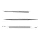 Ingrown Toenail File Set by Blizzard – 3 Piece Double-Ended Tool Kit with Blacks File, Nail Cleaner and Lifter for Cleaning and Care of Ingrown Toenails - Premium Stainless Steel