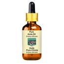 DEVPRAYAG Devprayag Pure Amla Oil (Emblica officinalis) with Glass Dropper Natural Therapeutic Grade 100ml (3.38 oz)