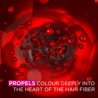 Garnier Olia Permanent Hair Dye, No Ammonia, Full Grey Coverage, Long-lasting Colour & Shine, Vegan Formula, Colour: 9.0 Light Blonde, 230g