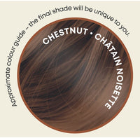 It's Pure Organic Henna Hair Dye in Chestnut | 100% Natural, Vegan, & Gluten Free | PPD Free Hair Dye, Ammonia Free, Resorcinol Free, & Peroxide Free | Volumising, Strengthening, & Revitalising |
