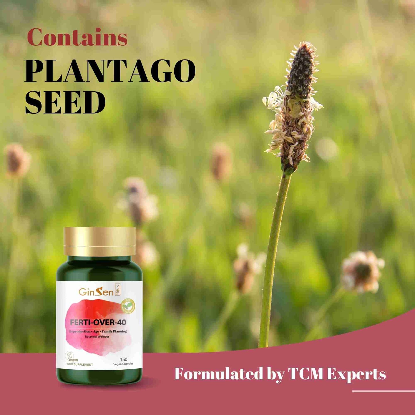 GinSen Ferti Support 150 Capsules, Women Fertility Supplement, Vegan Approved, Herbal Extract & Vitamins Made in UK