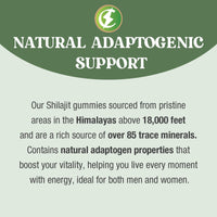 Cheroline Shilajit Gummies 1400mg, Pure Himalayan Shilajit with Chaga and Ashwagandha, 85+ Trace Minerals, Rich in Fulvic Acid, for Energy & Immune, Authentic Flavor, Sugar-Free, Vegan (60 Count (Pack of 2))