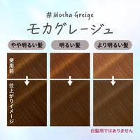 Liese Kao Tint Hair Color Gel Mocha Greige