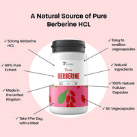 Lifetropics Pure Berberine - 500mg Berberine HCL Supplement - Lab Tested Authentic - Vegan Friendly - 60 Plant-Based Pullulan Capsules