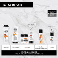 Gliss Brill.Tonic 100 ml Total Repair 19
