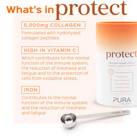 Pura Collagen Protect Collagen Powder | 5,000mg Bovine Collagen Peptides with Vitamin C, D3, B12, Zinc & Iron | Immune Support with Ginger Root Extract – 28 Servings, 284g