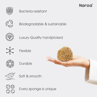 Naroa NAROA Natural Baby Bath Sponge in Gift Box | Soft Sea Unbleached Sea Washcloth for Babies | Newborn Shower Time Essentials | Pregnancy Registry Boy Girl