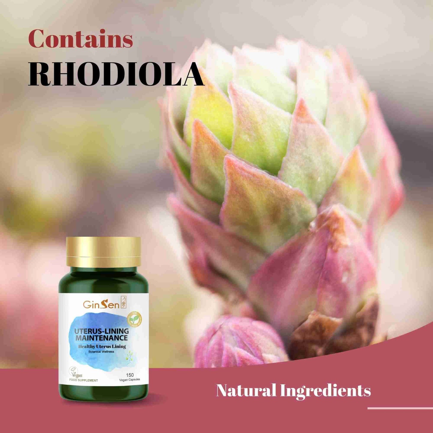 GinSen Uterus-Lining Maintenance,Support Optimal Uterus Thickness, Reproductive Function, 150 Capsules, Vegan Approved Supplement, Herbal Extract & Vitamins Made in UK