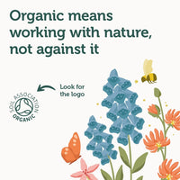 Ausha Organic Haritaki Powder 200g | Terminalia Chebula l Constipation Relief,Detox| Certified Organic…