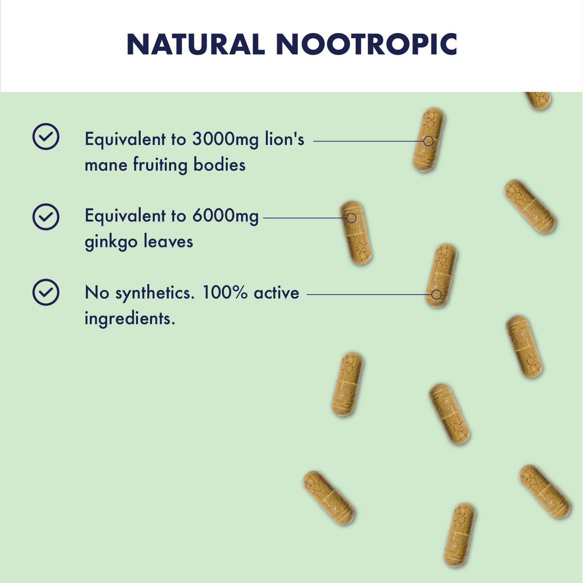 HIGHER NATURE Higher Nature - Lion's Mane & Ginkgo - for High Performance Days - High Strength Ginkgo Biloba 6000mg & Lion's Mane Mushroom 3000mg - Vegan Formula - 30 Capsules