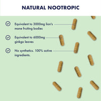 HIGHER NATURE Higher Nature - Lion's Mane & Ginkgo - for High Performance Days - High Strength Ginkgo Biloba 6000mg & Lion's Mane Mushroom 3000mg - Vegan Formula - 30 Capsules