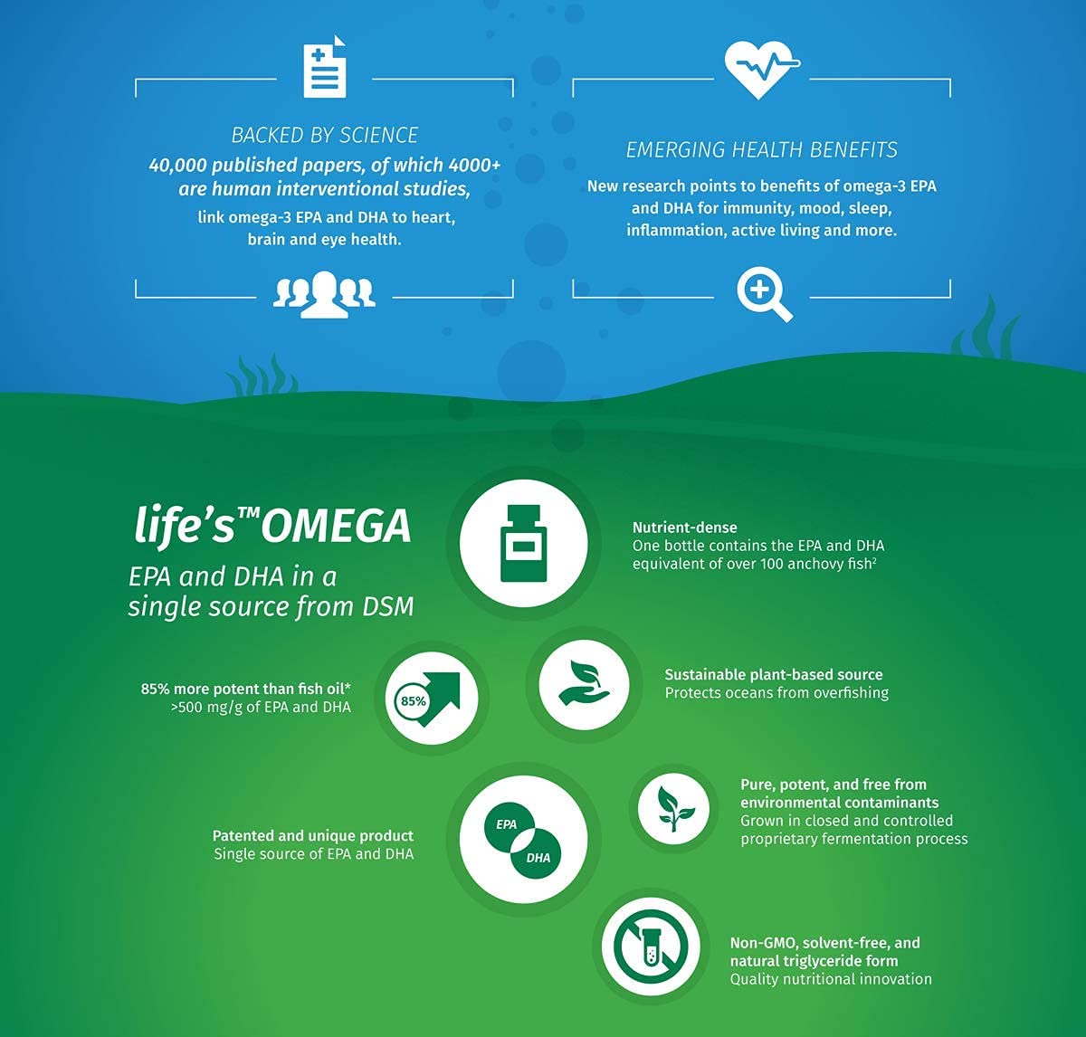 Time Health Vegan Omega 3 – EPA & DHA from Algae Oil – Premium Brand – Carrageenan-Free – Sustainable Algal Alternative to Fish Oil – Vegetarian Essential Fatty Acids – UK Made Supplement (120 Count (Pack of 1))