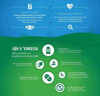 Time Health Vegan Omega 3 – EPA & DHA from Algae Oil – Premium Brand – Carrageenan-Free – Sustainable Algal Alternative to Fish Oil – Vegetarian Essential Fatty Acids – UK Made Supplement (120 Count (Pack of 1))