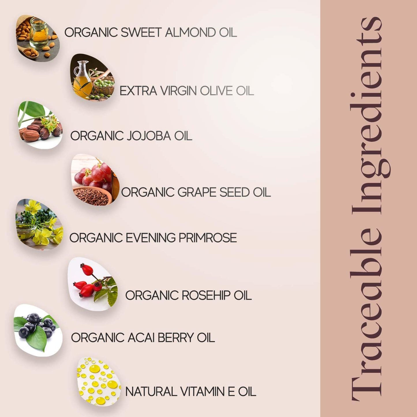 Biostren The Legacy Body Oil – 5fl oz Luxurious Body Oil After Shower – Deeply Nourishing Botanical Oil with Jojoba, Sweet Almond, Rosehip, Vitamin E – Body Glow Oil for Intensive Hydration