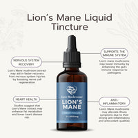 Love Mushrooms Lions Mane Mushroom Supplement, 15,000mg Tincture 30ml, Liquid Drops to Support Focus & Memory, Vegan, Made in The UK