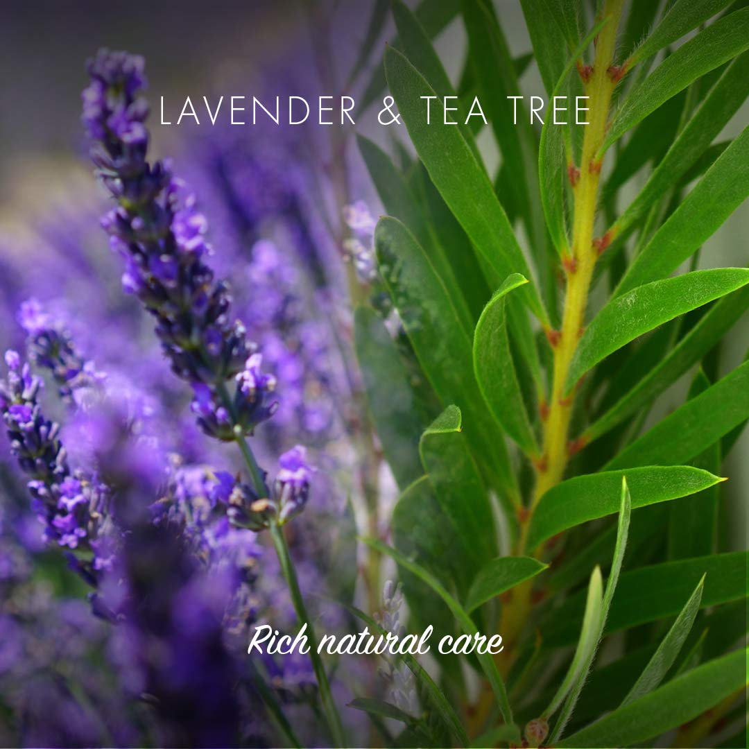 Friendly Soap Handmade Natural Lavender & Tea Tree Shampoo Bar - Antibacterial, Rich, Nourishing 95g