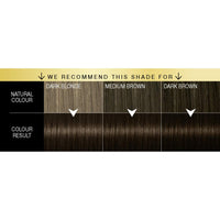Schwarzkopf Oleo Intense Dark Brown Hair Dye, 3-Pack Permanent Oil Colour, No Ammonia, Covers Greys, Black Brown 2-10