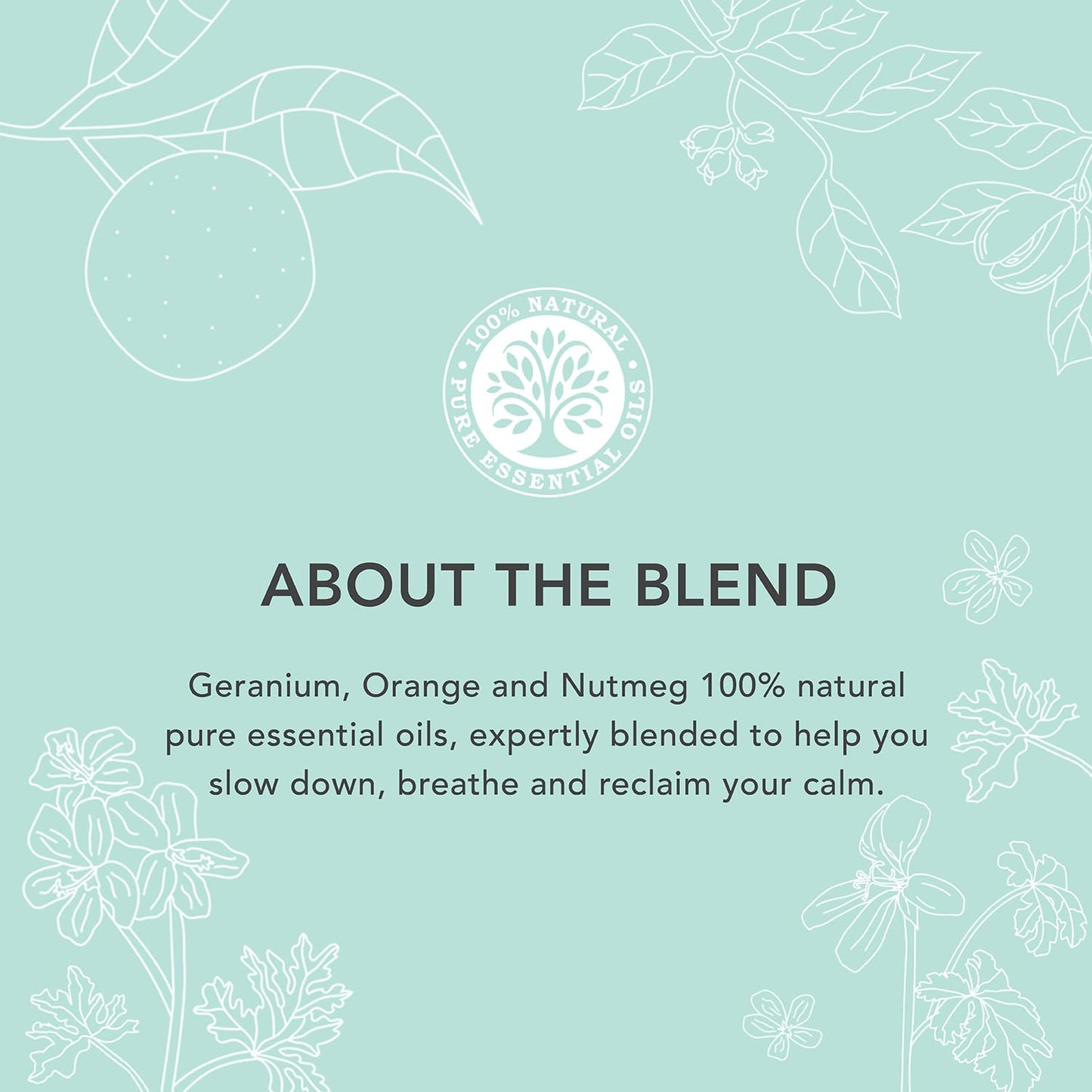 Tisserand - Total De-Stress - Massage & Body Oil - Orange, Geranium, Nutmeg Essential Oil - 100% Natural Pure Essential Oils - 100ml