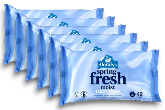 6X Floralys - Aldi | Spring Fresh - Wet Toilet Wpies/Tissue | 42 Wipes per Pack [Six Pack]