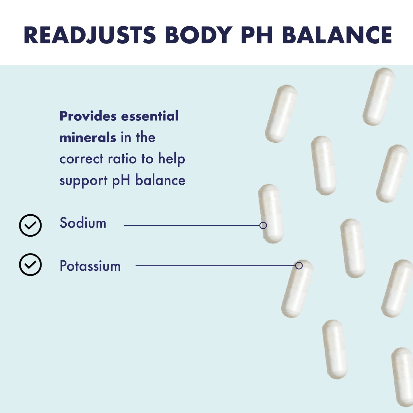 HIGHER NATURE Higher Nature - Alkaline pH Capsules - Alka Clear - Natural Alkalinity - Electrolytes - Gently Readjusts Body's Ph Balance - Vegetarian & Vegan - 180 Capsules