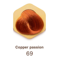 Color time COLOR TIME | Permanent Gel Hair Dye Passionate Copper Color 69 | Enriched with Royal Jelly and Vitamin C | Permanent Hair Color | Covers Gray Hair | 100 ML