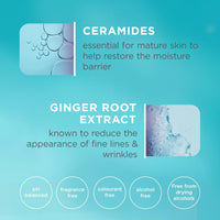 Curél Restorative Aging Care Rejuvenating Day Cream for Dry, Sensitive Skin, 38ml