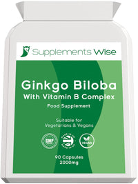 Supplements Wise Ginkgo Biloba Capsules 90 x 2000mg - Dizziness and Vertigo Treatment - Focus Tablets, Concentration Pills for Brain, Memory - Blood Circulation -Ginkgo Biloba Herbal Supplements with Vitamin B Complex