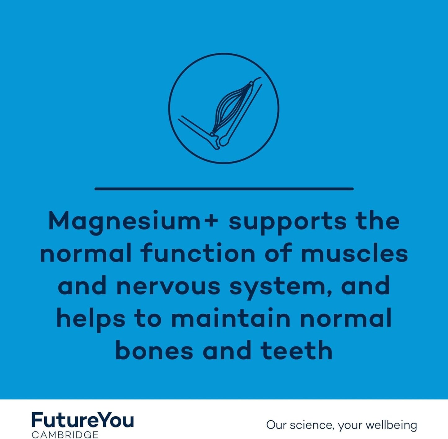 Magnesium+ 575mg Supplement – 28 High Strength Capsules – Magnesium Lactate & Vitamin B6 Health Supplements to Reduce Tiredness & Support Bone Health – Supplements by FutureYou Cambridge