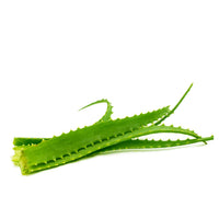 VONDERWEID Vonderweid - AloeGel, Moisturizing Aloe Arborescens Gel, 100 ml