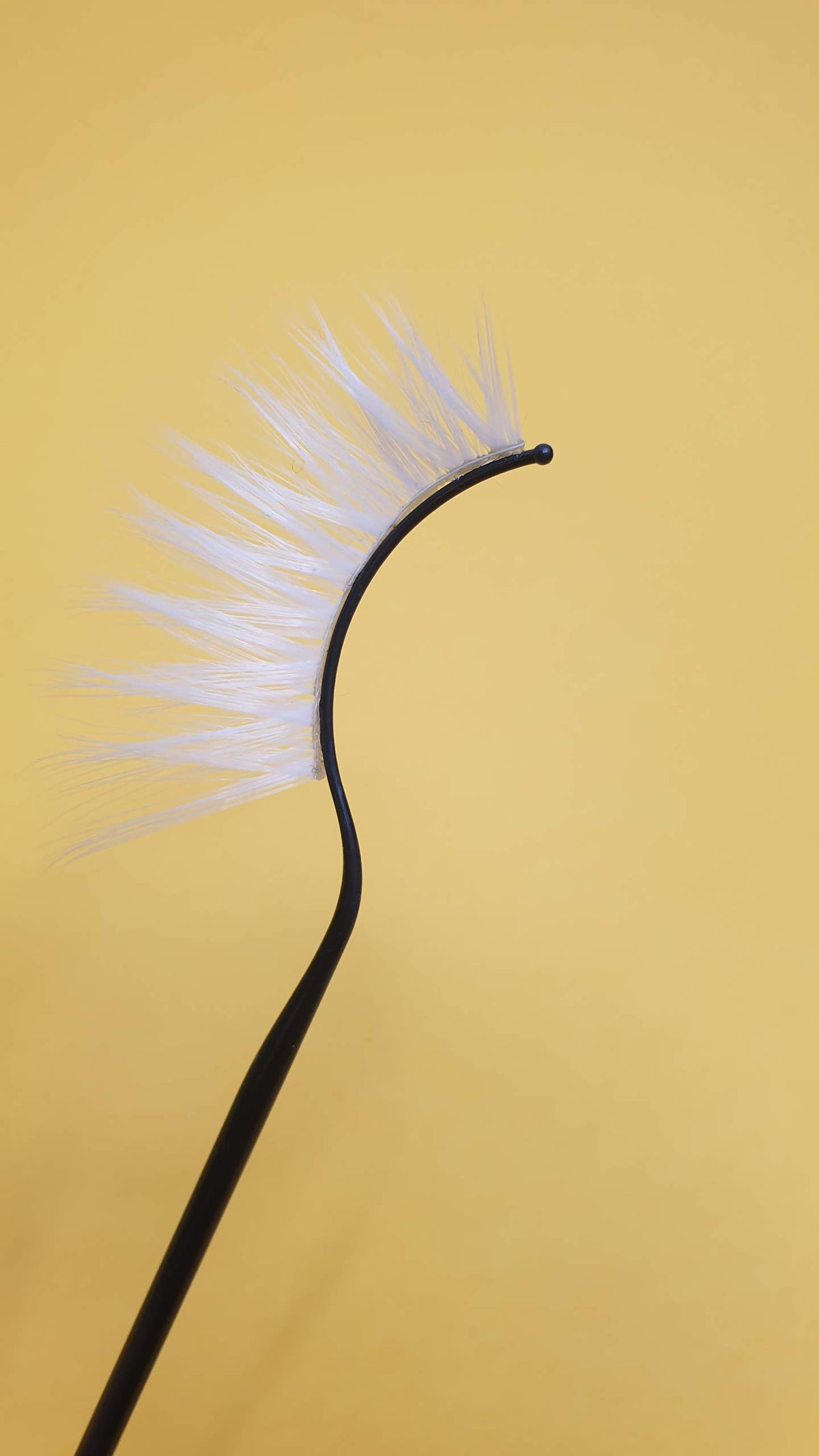 Eldora False Eyelashes NEW B801