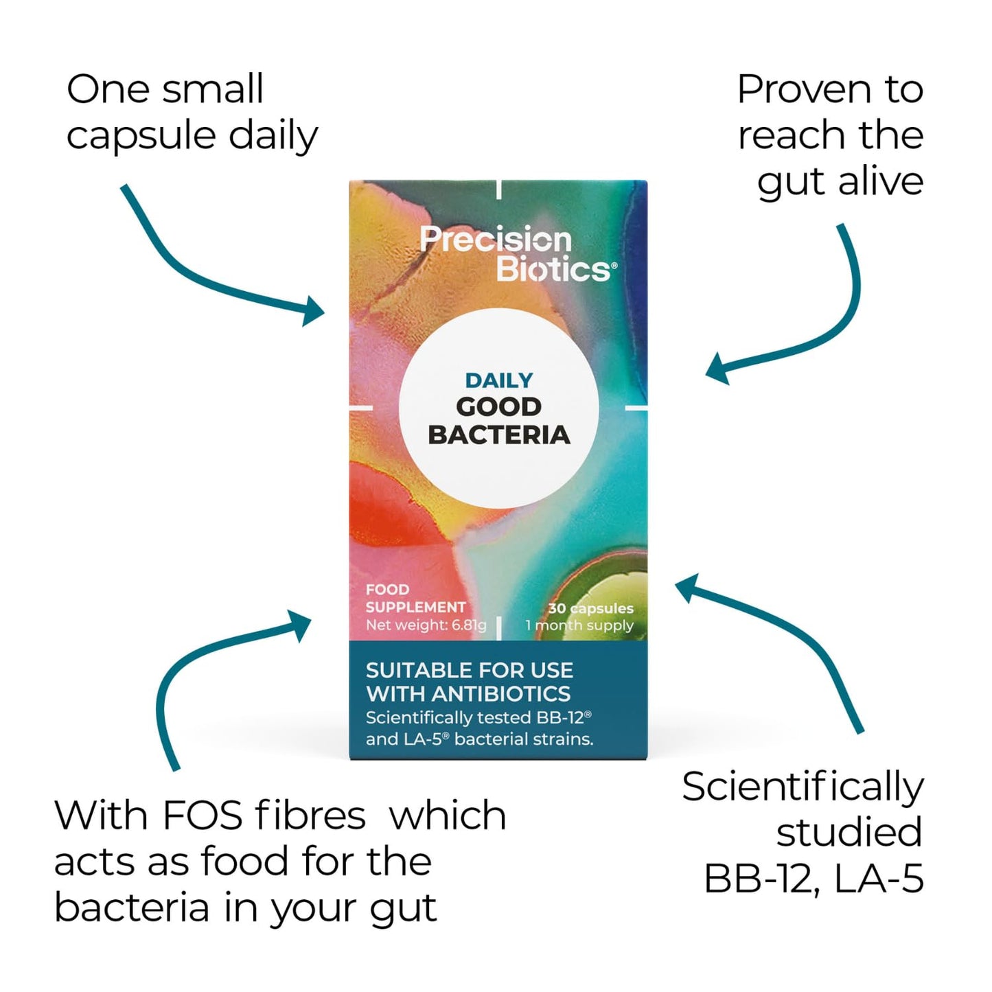 PrecisionBiotics Daily Good Bacteria - Daily Gut Health Probiotics Supplement - BB-12 and LA-5 Bacterial Culture Strains + FOS fibers - 30 Capsules