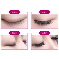 FADLASH Volume Lash Extensions 10D Premade Russian 0.07 C Curl 8-14mm Mixed Pre Made Russian Lashes Volume Lashes Pre- Made Fan Lashes（10D-0.07-C-MIX(8-14)）