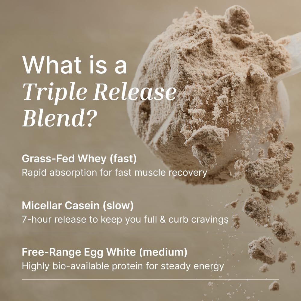 EXALT Nutrition - Whey Protein Powder - Ghanaian Cacao - 500g - Premium Grass Fed Whey - Micellar Casein & Free Range Egg White - 7hr Triple-Release Blend - Naturally Sweetened with Dates