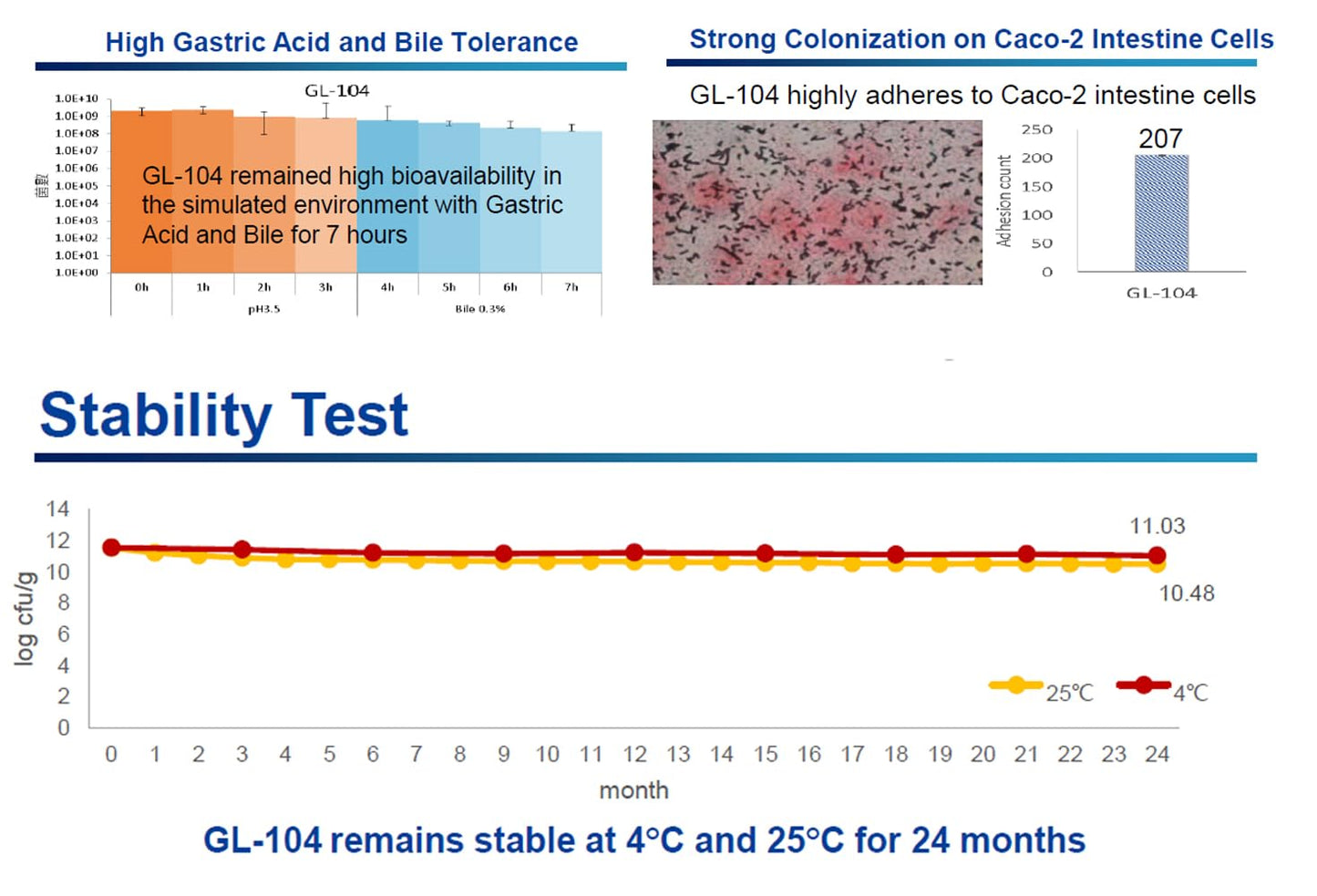 New: High Strength Lactobacillus Reuteri Probiotic – 6 Billion CFU – 90 Capsules – Advanced Shelf Stable L Reuteri – Research-Backed Strain – Vegan – GMP – UK Made Supplement