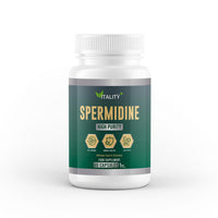 High Potency Spermidine Wheat Germ Extract Capsules - 10mg from Wheat Germ Extract, 60 Capsules, One Month Supply - Longevity