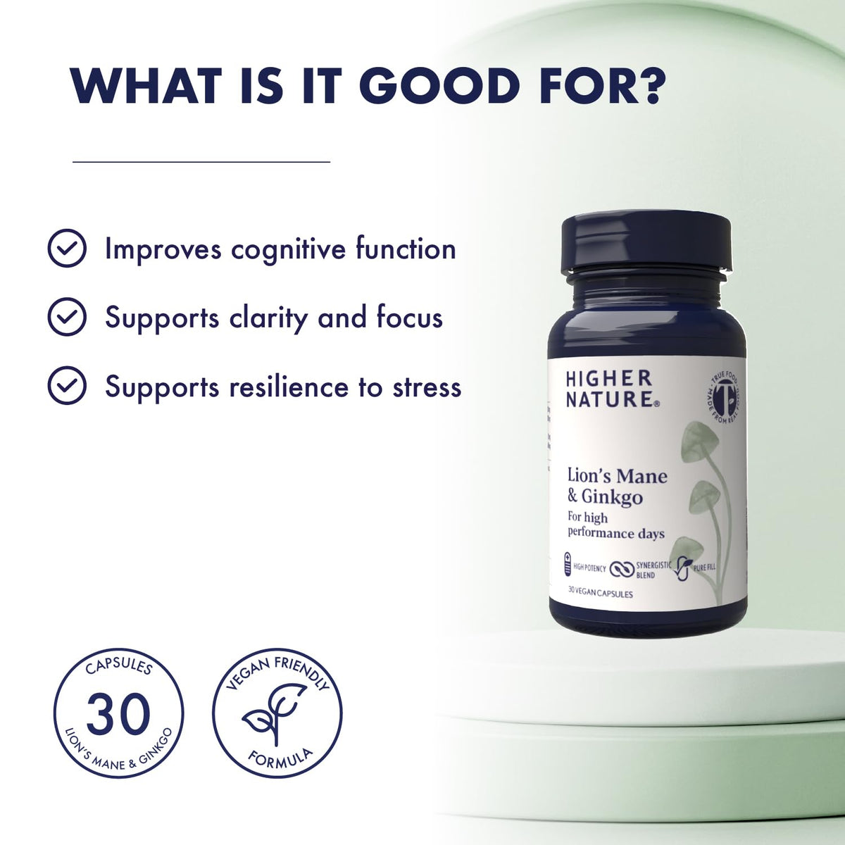 HIGHER NATURE Higher Nature - Lion's Mane & Ginkgo - for High Performance Days - High Strength Ginkgo Biloba 6000mg & Lion's Mane Mushroom 3000mg - Vegan Formula - 30 Capsules