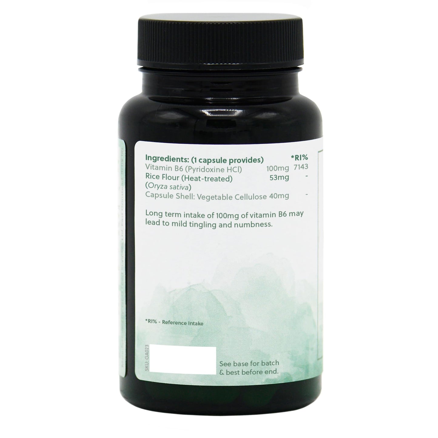 G&G Vitamins Vitamin B6 Pyridoxine HCl 100mg - 120 Vegan Capsules - Non-GMO, Made in The UK