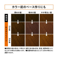 Liese Kao Bubble Bleach Hair Color Natural Tone