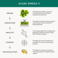 Algae Omega 3 – Together Health – Pure Algae Omega 3 – Unique Plant Source of DHA & EPA – Vegan Friendly - Made in The UK – Pack of 2-60 Softgels