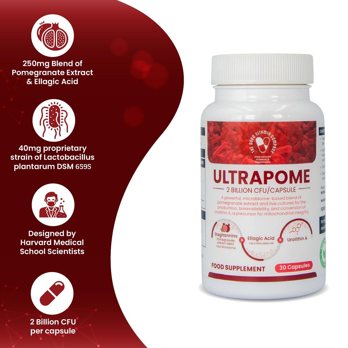 The Good Vitamin Company Ultrapome: 30 Vegetarian Capsules, Pomegranates + Live Cultures/Microbiome, Ellagitannins, Urolithin A Supplement, Cellular Health Complex for Mitochondrial Health, Mitophagy, Energy Support