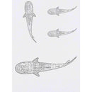 Azeeda 4 x 'Whale Shark' Temporary Tattoos - Water Resistant, Skin-Safe, Non-Toxic Transfers, Mixed Sizes (TO00071806)