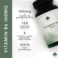 G&G Vitamins Vitamin B6 Pyridoxine HCl 100mg - 120 Vegan Capsules - Non-GMO, Made in The UK