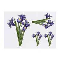 Azeeda 4 x 'Blue Iris Flowers' Temporary Tattoos - Water Resistant, Skin-Safe, Non-Toxic Transfers, Mixed Sizes (TO00050103)