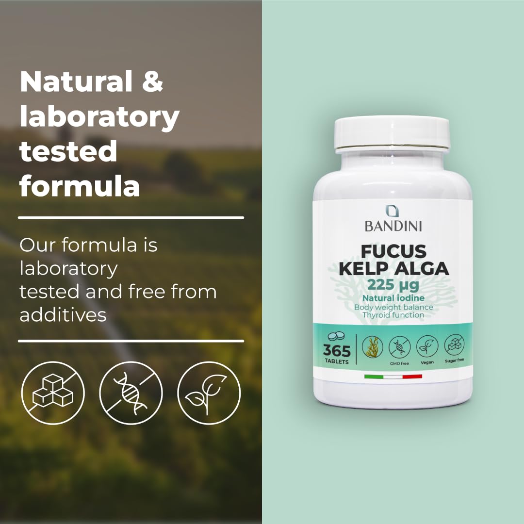 Bandini® Fucus Kelp Algae (Seaweed Natural Iodine 225mcg) - 365 Tablets (1 Year Supply) - High Strength, Vegan - Brown Algae Titrated to 0.1% Iodine - Stimulates Energy Metabolism - Nail & Hair Health