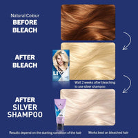 Schwarzkopf LIVE Silver Shampoo for Icy Blondes (200ml), Hair Toner Purple Shampoo for Neutralising Brassiness, Blonde Toner Eliminates Yellow Tones for Cool Blonde Shades