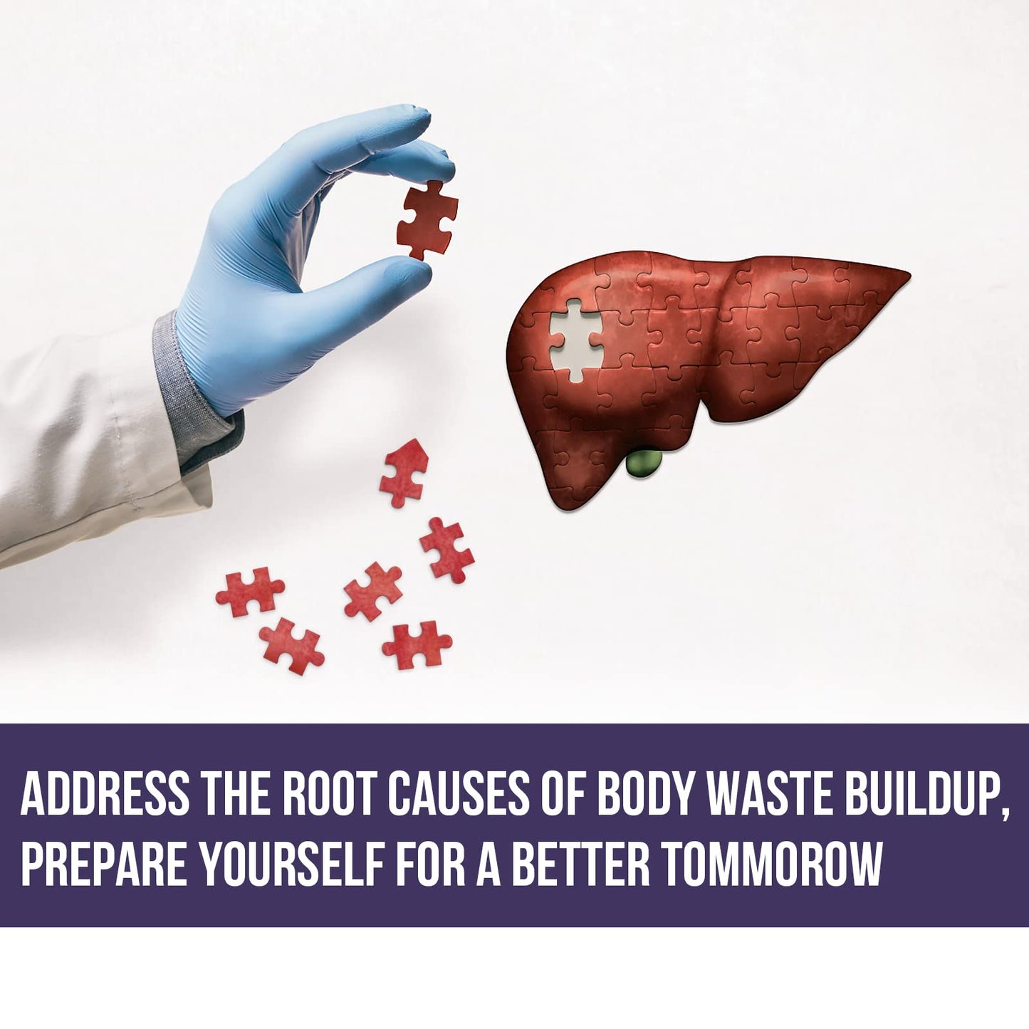 P!nkTribe TUDCA 500mg, Tauroursodeoxycholic Acid with Humic and Fulvic Acids, Beet Root and More, Tudca Bile Salt Supplement for Liver Liver Health, Digestion, Detox and Repair (Pack of 3)