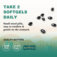 Rapsdayci Liposomal Fisetin with Quercetin - High-Potency 1000mg Combo Antioxidant Supplement for Optimal Health - 60 Softgels Per Bottle (Pack of 2)