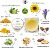 BEES of BRITAIN - 100% Natural Skin Balm - Shea, Cocoa Butter, Beeswax. Repairs, Soothes, Hydrates. We Donate 5% of our Profit to Save Bees + Pollinators. 100ml