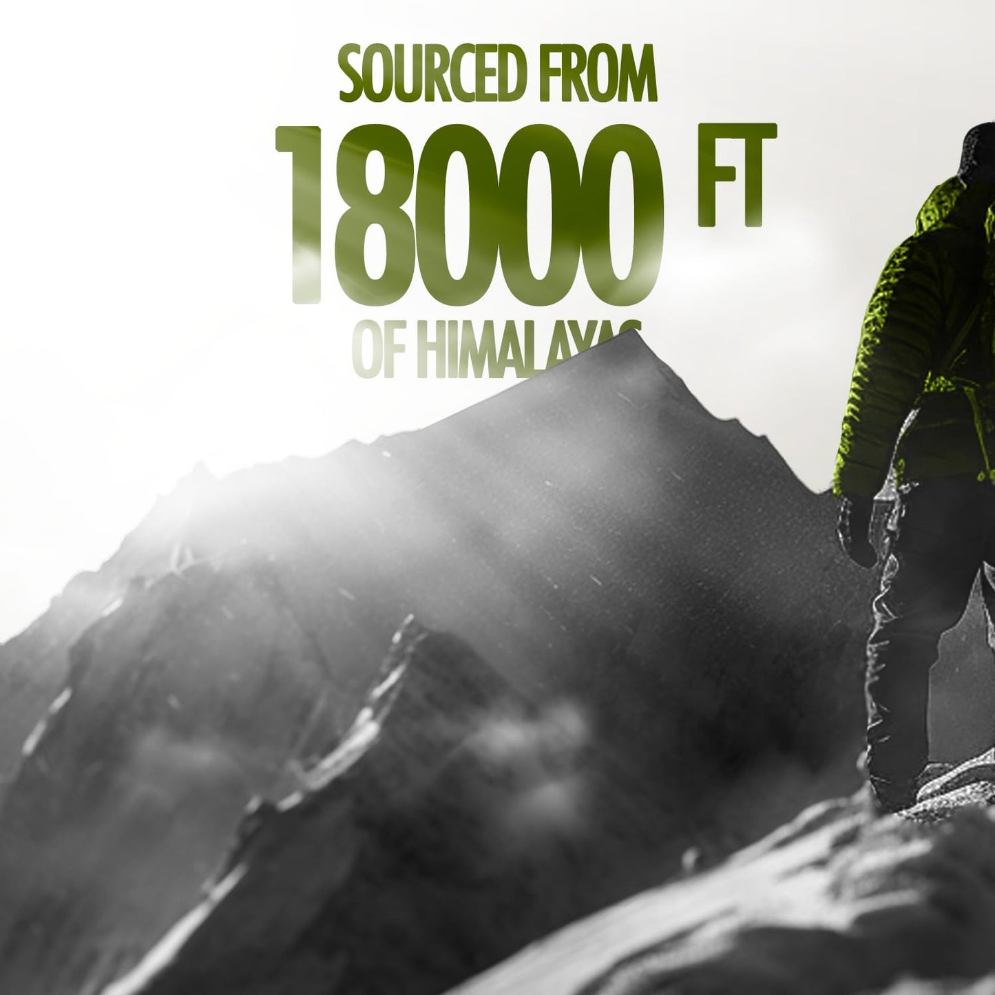 Kapiva Himalaya Shilajit 30 Grms